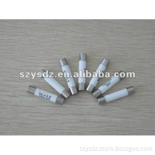 Ceramic Fuse